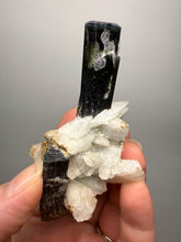 Load image into Gallery viewer, Blue Cap Dark Green Stak Nala Tourmaline on Cleavelandite Matrix – Haramosh Mountains, Pakistan
