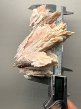 Load image into Gallery viewer, Rare Natural Pink Anhydrite Collector Mineral | Brazil
