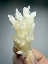 Load image into Gallery viewer, High-Grade Coral Aragonite Specimen | Wenshan Mine, Yunnan, China | Collector Mineral Display
