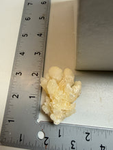 Load image into Gallery viewer, Golden Coral Aragonite Crystal Specimen – Wenshan Mine, Yunnan, China
