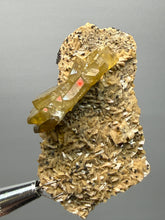 Load image into Gallery viewer, Vibrant Yellow Barite | Collector Display Specimen | Taourirt Mine, Morocco

