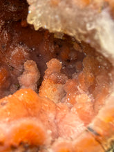 Load image into Gallery viewer, “Goblin Chalcedony” Pink &amp; Orange Druzy Botryoidal Stalactites — Tichka Massif, High Atlas, Morocco
