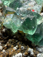 Load image into Gallery viewer, Rare Tenebrescent Color-Changing Cubic Fluorite | Hidden Forest Pocket — Diana Maria Mine, Frosterley, Weardale, County Durham, England

