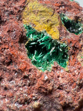 Load image into Gallery viewer, Brochantite Collector Mineral Specimen – Vivid Green Copper Crystals from Morocco
