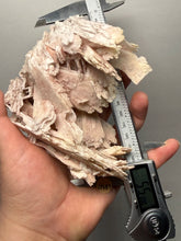 Load image into Gallery viewer, Rare Natural Pink Anhydrite Collector Mineral | Brazil
