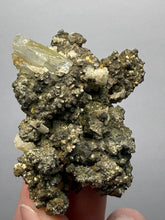 Load image into Gallery viewer, Marcasite, Pyrite &amp; Barite Cabinet Specimen | Bounhas Mine, Oumjrane, Morocco
