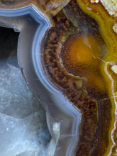 Load image into Gallery viewer, High-Grade Turkish Agate with Botryoidal Chalcedony Vug – Rare Collector’s Gem
