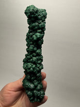 Load image into Gallery viewer, 7.1” Museum-Grade Druzy Malachite Stalactite “Cave” Formation | DR Congo | Mineral Collector Specimen
