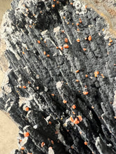 Load image into Gallery viewer, Goethite with Vanadanite from Morocco
