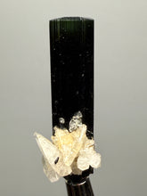 Load image into Gallery viewer, Dark Green Cap Stak Nala Tourmaline and Cleavelandite – Haramosh Mountains, Pakistan | Thumbnail Specimen
