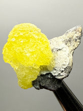 Load image into Gallery viewer, Vibrant Yellow Brucite Thumbnail Mineral Specimen | Collector Crystal from Killa Saifullah District in Balochistan Province, Pakistan
