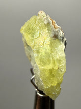 Load image into Gallery viewer, Vibrant Yellow Brucite Thumbnail Mineral Specimen | Collector Crystal from Killa Saifullah District in Balochistan Province, Pakistan
