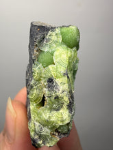 Load image into Gallery viewer, High-Grade Green Wavellite Collectors Specimen - Radiating Botryoidal Crystal Formation - Arkansas, USA
