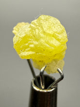 Load image into Gallery viewer, Vibrant Yellow Brucite Thumbnail Mineral Specimen | Collector Crystal from Killa Saifullah District in Balochistan Province, Pakistan
