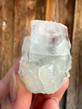 Load image into Gallery viewer, Mint Green Apophyllite w Red Phantom • Maharashtra, India

