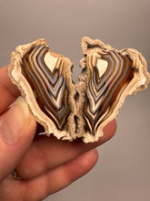 Load image into Gallery viewer, High-Grade Indonesian Sumatra Agate Pair – Vibrant Banded Chalcedony with Rich Color Zoning | Ethical Lapidary &amp; Collector Display Specimens

