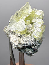 Load image into Gallery viewer, Vibrant Yellow Brucite Thumbnail Mineral Specimen | Collector Crystal from Killa Saifullah District in Balochistan Province, Pakistan
