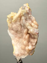 Load image into Gallery viewer, Sunset Goblin Chalcedony Botryoidal Stalactite | Sidi Rahal, Morocco (Western Sahara) Mineral Display Specimen
