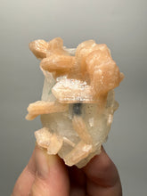 Load image into Gallery viewer, Pink Stilbite with Druzy Frosted Optical Calcite — India Zeolite Specimen
