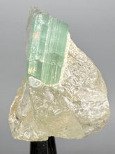 Load image into Gallery viewer, Mint Green Tourmaline on Quartz Matrix– Pegmatite Mineral Specimen from Pakistan
