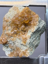 Load image into Gallery viewer, Hessonite Garnet Cluster on Matrix – Natural Collector Specimen from Pakistan | High-Grade Orange-Red Garnet Crystals
