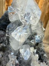 Load image into Gallery viewer, Clear Gem Apophyllite Cluster on black matrix • Maharashtra, India
