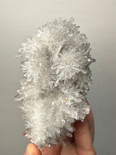 Load image into Gallery viewer, High-Grade Chrysanthemum Quartz (Needle Quartz) Spray Cluster | Jiangxi, China
