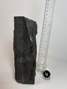 Black Druzy Petrified Wood from Indonesia