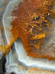 Rare Moroccan Orange Plume Agate Collected by Indigenous Nomads | Ancient Beauty from the Sahara