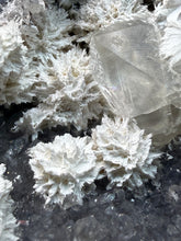 Load image into Gallery viewer, Mordenite with Optical Calcite on Druzy Chalcedony | Mineral Cabinet Specimen | Deccan Traps, India
