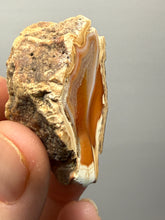 Load image into Gallery viewer, Premium Sumatra Agate (Banded Chalcedony) Display Specimen | Indonesia
