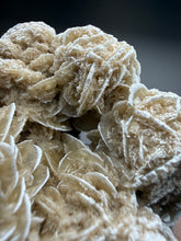Load image into Gallery viewer, Desert Rose Selenite (Gypsum) — Mineral Display Specimen | Mexico
