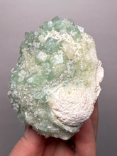 Load image into Gallery viewer, Luminous Mint Apophyllite with Glittering Druzy Sugar Quartz – India

