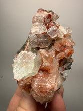 Load image into Gallery viewer, Rare Red + Green Apophyllite Crystal Cluster – High Grade Collector Mineral Specimen | India
