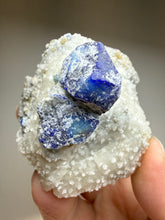 Load image into Gallery viewer, Afghan Lazurite W Afghanite Specimen | Deep Blue Lapis-Grade Crystal on Matrix | Collector Display Mineral
