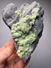 Load image into Gallery viewer, High-Grade Green Wavellite Collectors Specimen - Radiating Botryoidal Crystal Formation - Arkansas, USA
