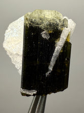 Load image into Gallery viewer, Dark Green Cap Stak Nala Tourmaline with Cleavelandite Flower – Haramosh Mountains, Pakistan | Thumbnail Specimen
