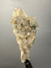 Load image into Gallery viewer, Blue-Green Chrysocolla in Botryoidal Chalcedony Cabinet Specimen | Indonesia
