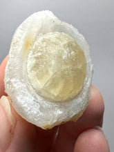 Load image into Gallery viewer, Rare Botryoidal Yellow Fluorite on Quartz Matrix  Collector Mineral Specimen – Maharashtra, India
