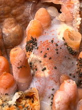 Load image into Gallery viewer, “Goblin Chalcedony” Pink &amp; Orange Druzy Botryoidal Stalactites — Tichka Massif, High Atlas, Morocco
