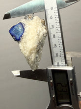 Load image into Gallery viewer, Afghanite &amp; Lazurite on Matrix Collector Display Specimen | Badakhshan Region, Afghanistan
