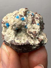 Load image into Gallery viewer, Rare Electric Blue Pentagonite on Druzy Matrix – Collector Mineral Specimen | India
