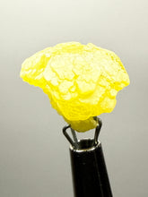 Load image into Gallery viewer, Vibrant Yellow Brucite Thumbnail Mineral Specimen | Collector Crystal from Killa Saifullah District in Balochistan Province, Pakistan
