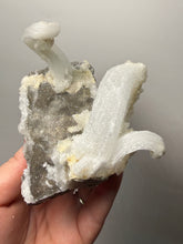 Load image into Gallery viewer, RARE COMBO Moroccan Ram’s Horn Selenite (Gypsum) with Yellow Botryoidal Fluorite Display Specimen

