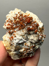 Load image into Gallery viewer, Natural Vanadinite on Matrix | Collector Mineral Specimen | Morocco

