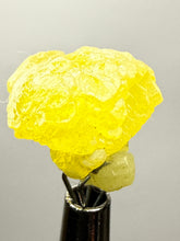 Load image into Gallery viewer, Vibrant Yellow Brucite Thumbnail Mineral Specimen | Collector Crystal from Killa Saifullah District in Balochistan Province, Pakistan
