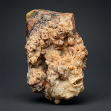 Load image into Gallery viewer, Chalcedony Quartz Rose Agate Collector Mineral Specimen – Morocco

