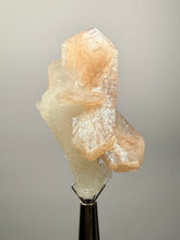 Load image into Gallery viewer, High-Grade Apophyllite on Pink Stilbite Zeolite | Indian Collector Mineral Specimen
