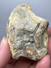 Load image into Gallery viewer, Premium Sumatra Agate (Banded Chalcedony) Display Specimen | Indonesia
