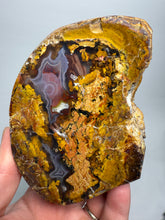 Load image into Gallery viewer, MUSEUM Turkish Agate with Intriguing Inclusions – Great Sticks, Banding and Eyes - Turkey
